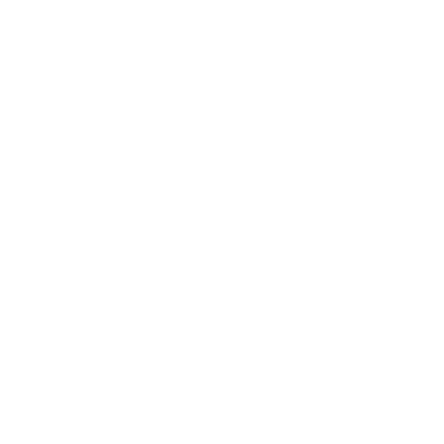 Ford Otosan